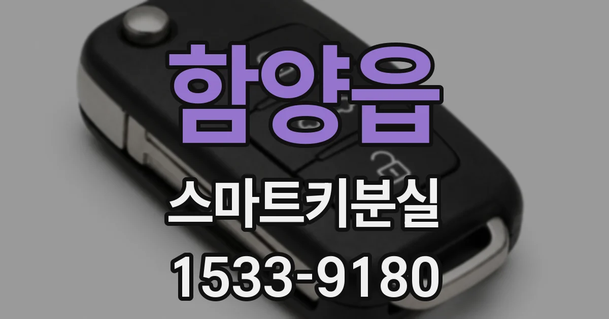 함양읍 스마트키분실