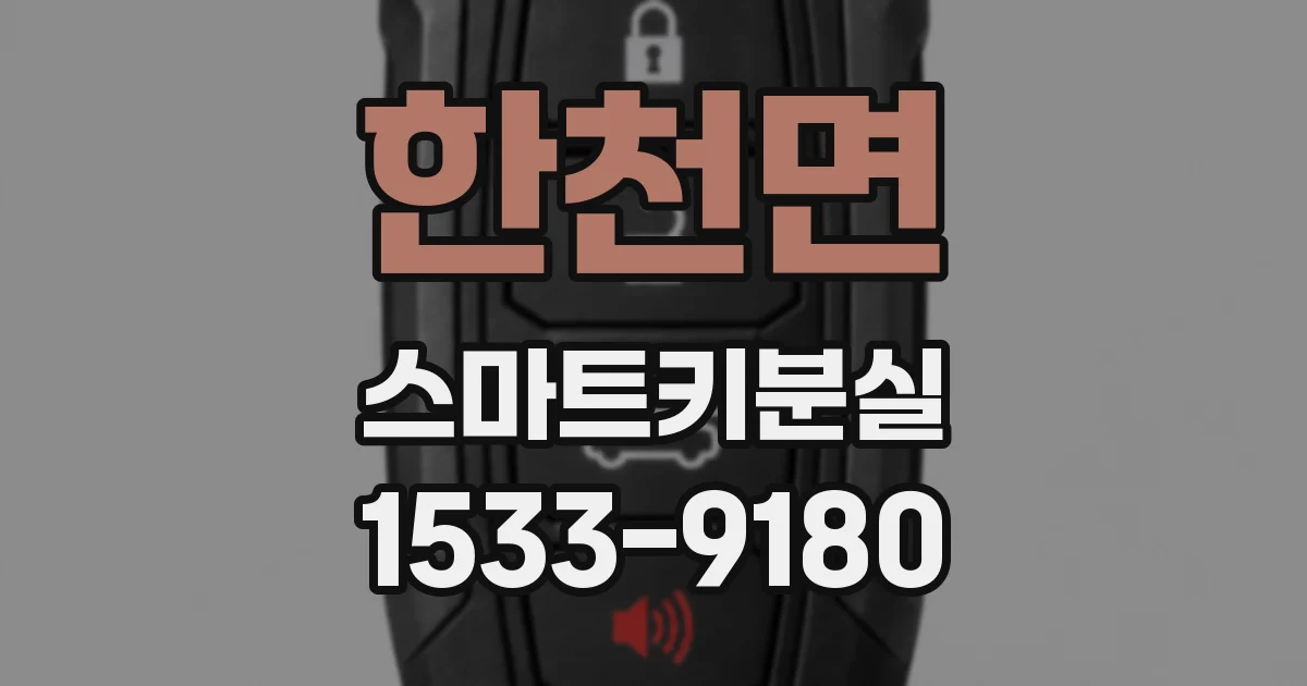 한천면 스마트키분실