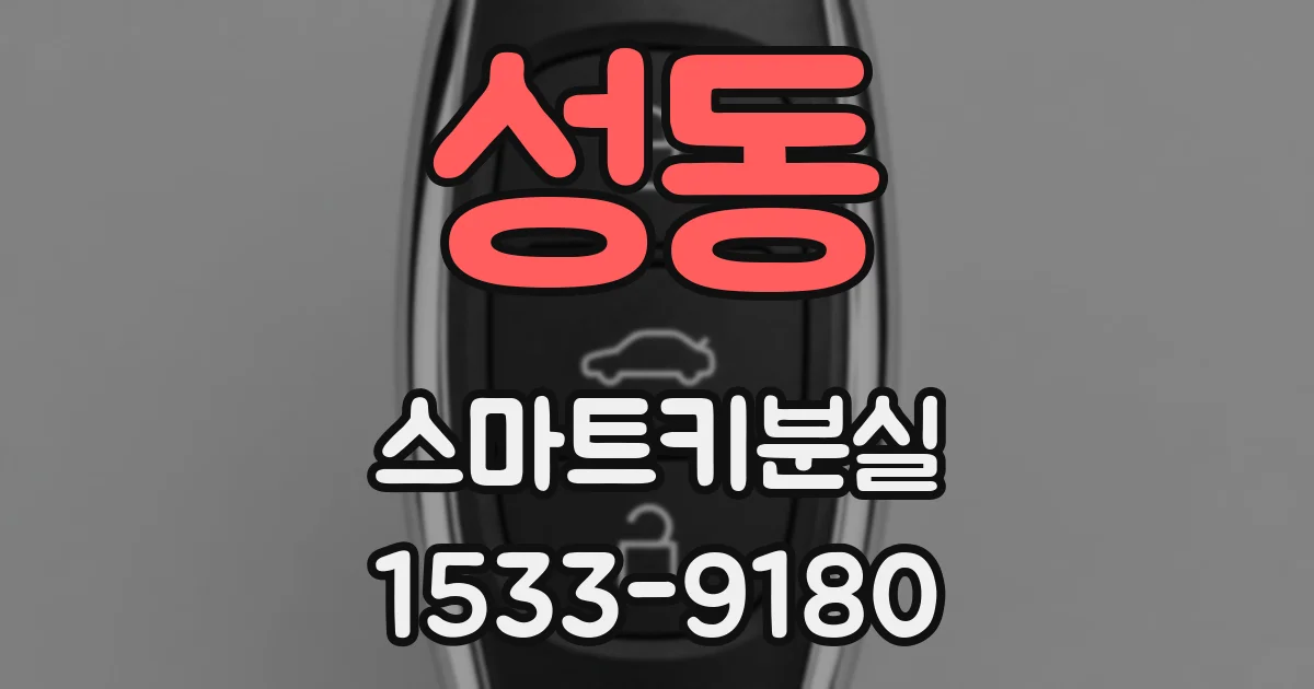성동 스마트키분실