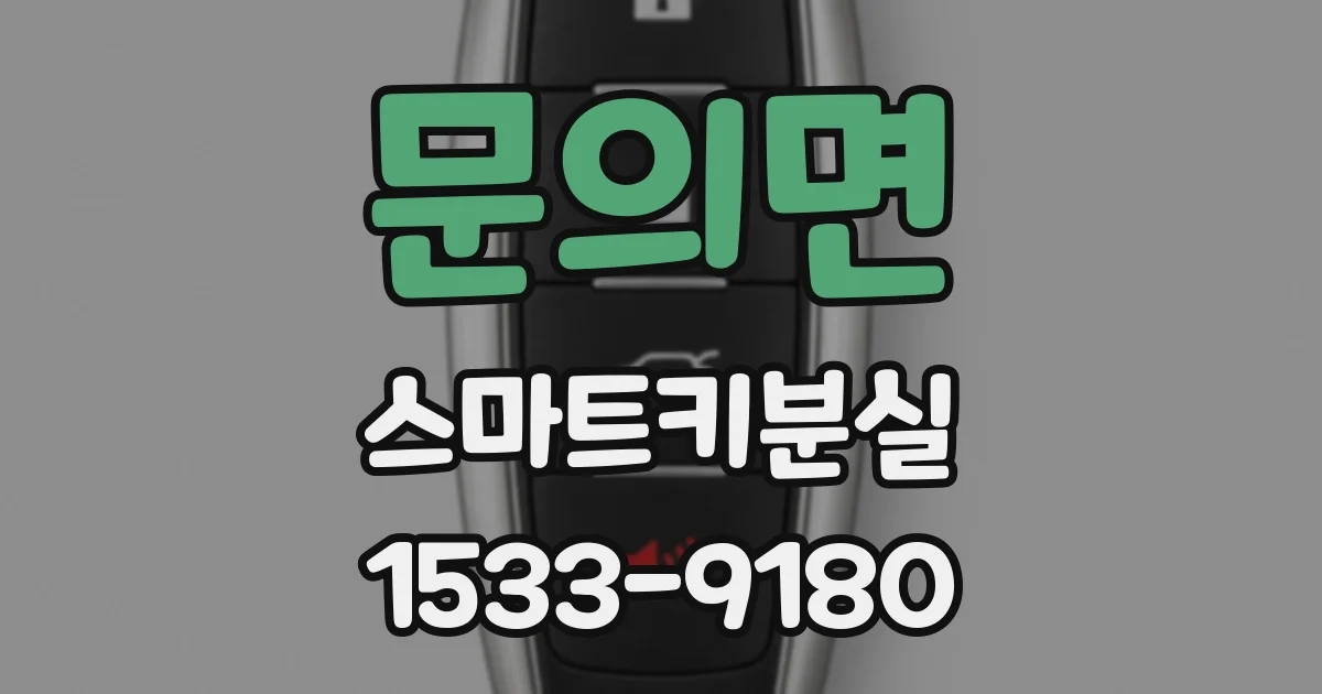 문의면 스마트키분실