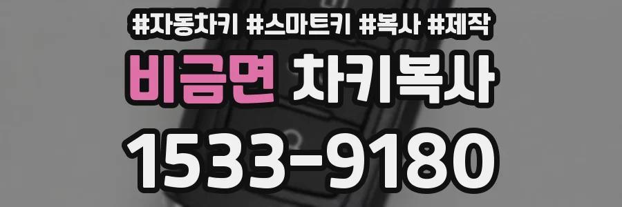 비금면 차키복사