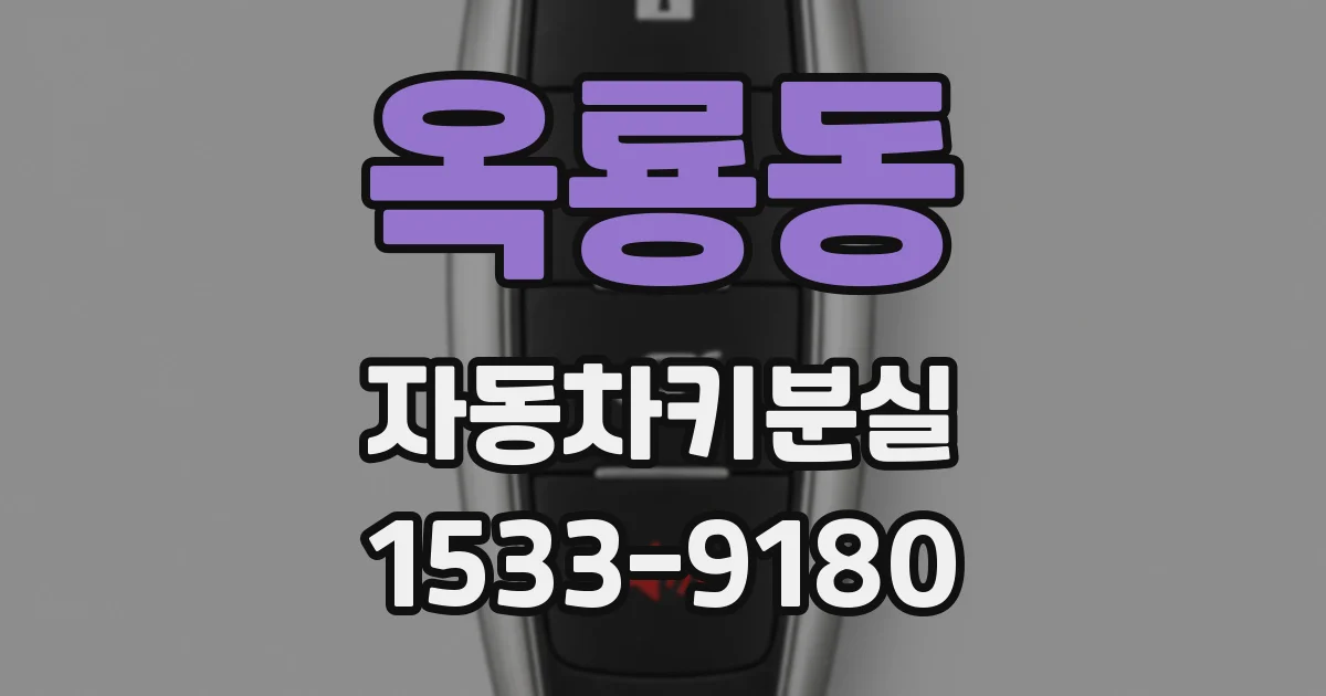 옥룡동 자동차키분실