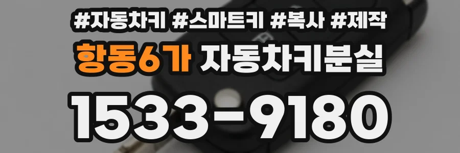 항동6가 자동차키분실