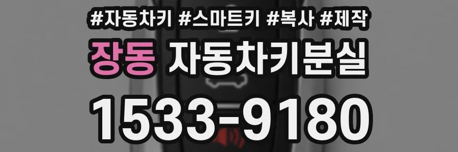 장동 자동차키분실