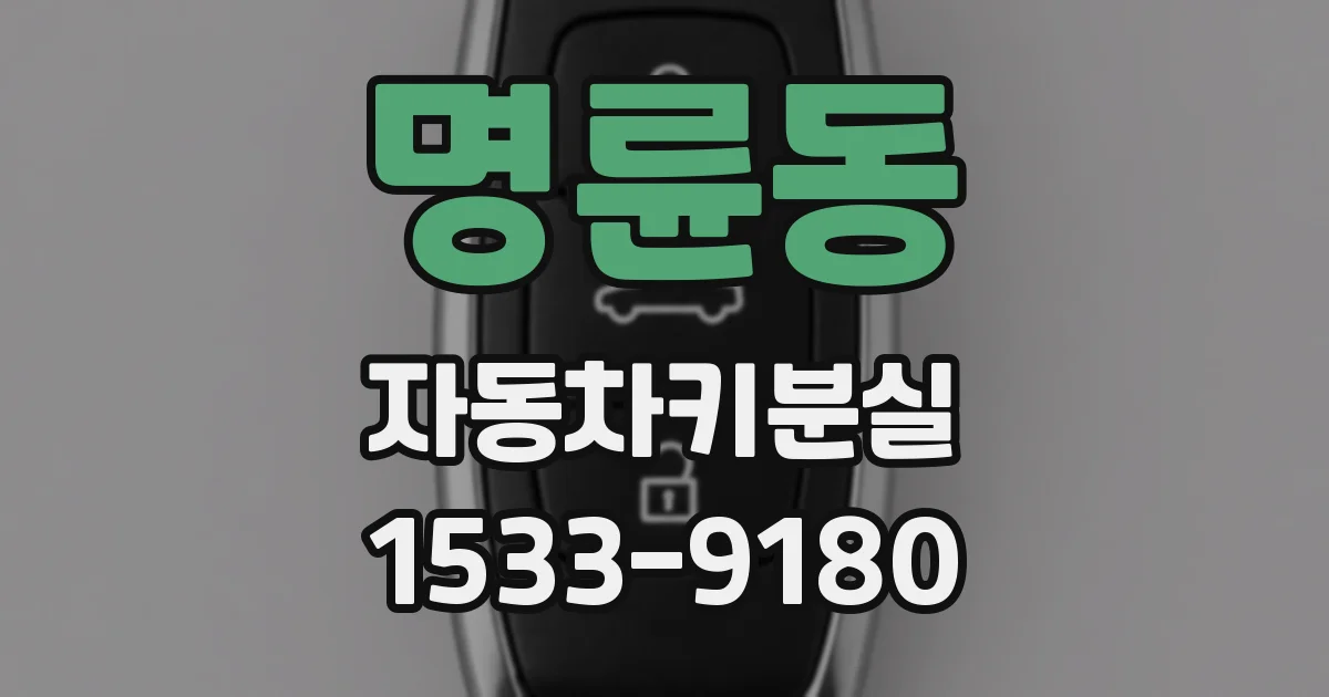 명륜동 자동차키분실