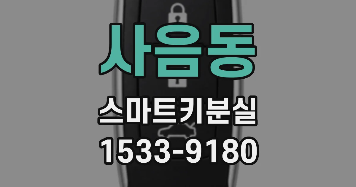 사음동 스마트키분실