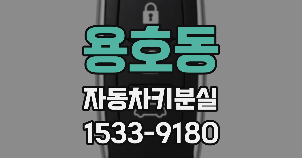 용호동 자동차키분실