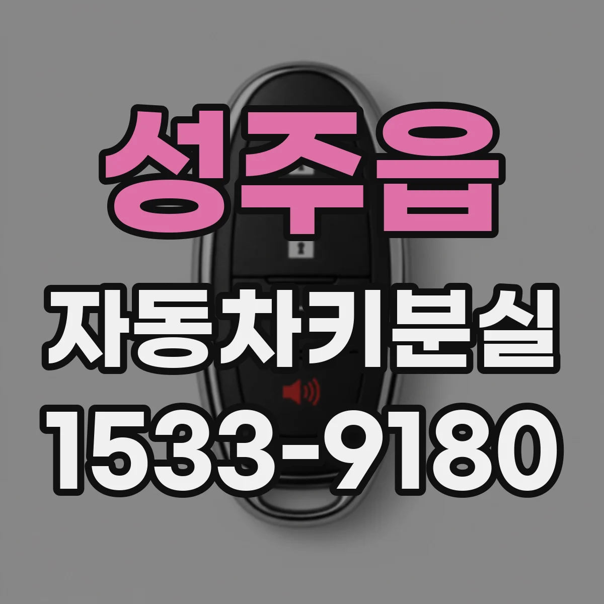 성주읍 자동차키분실