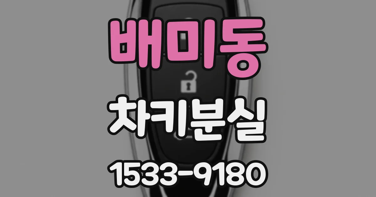 배미동 차키분실