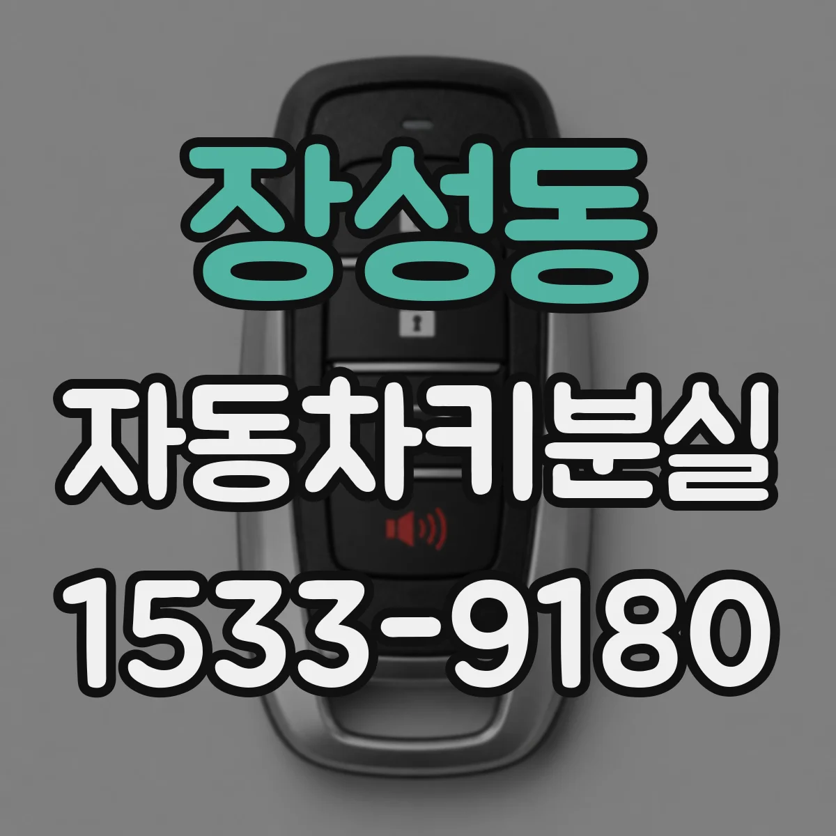 장성동 자동차키분실