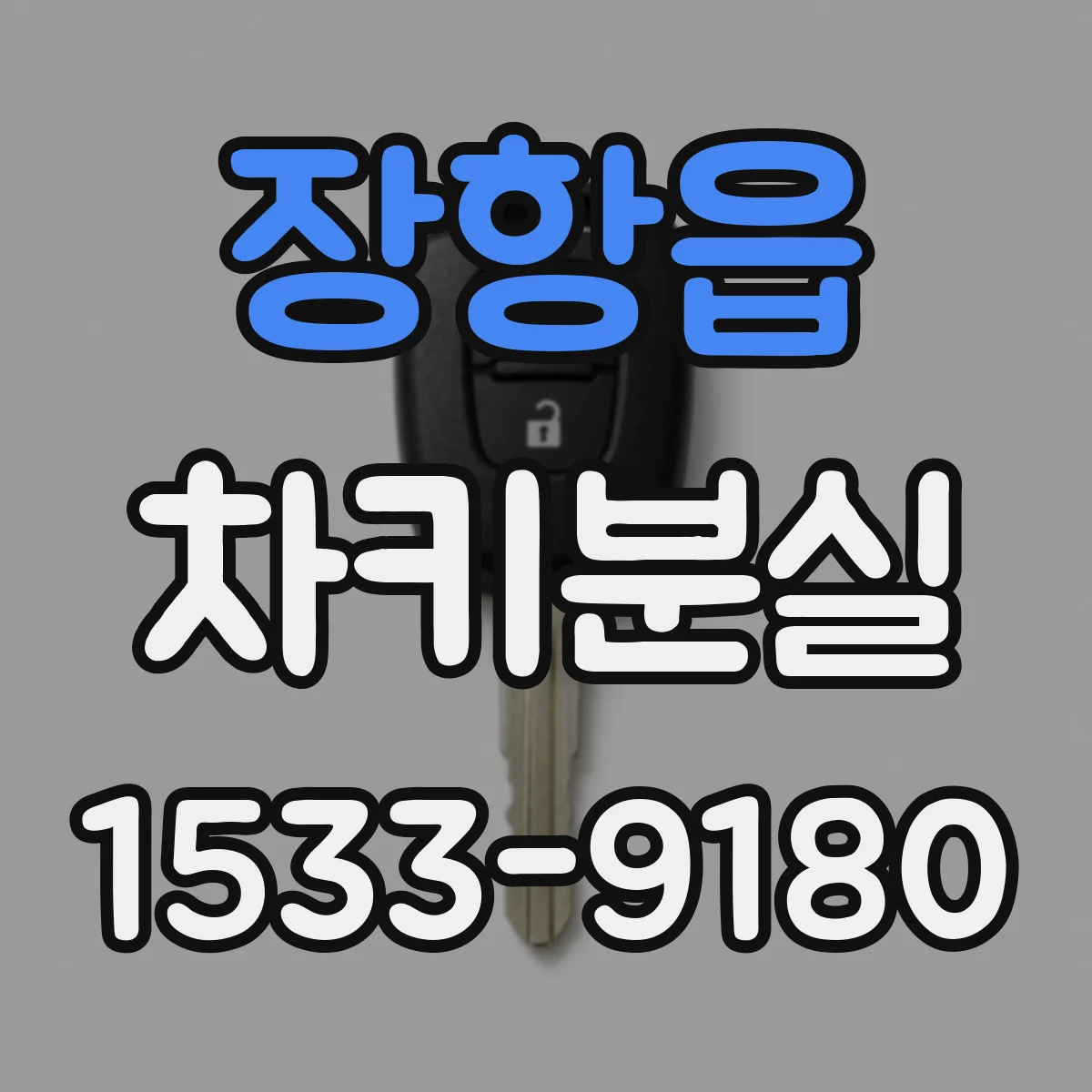 장항읍 차키분실