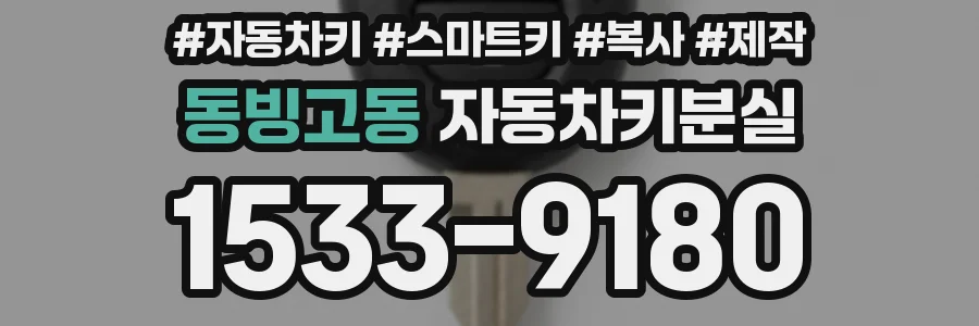 동빙고동 자동차키분실
