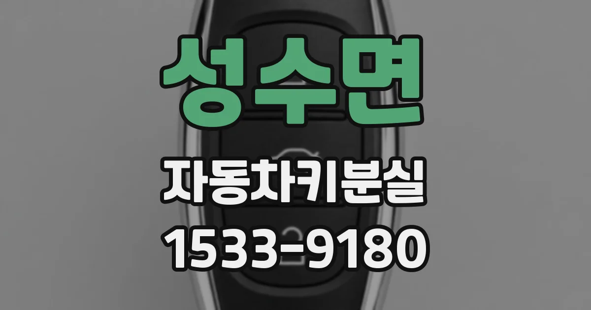 성수면 자동차키분실