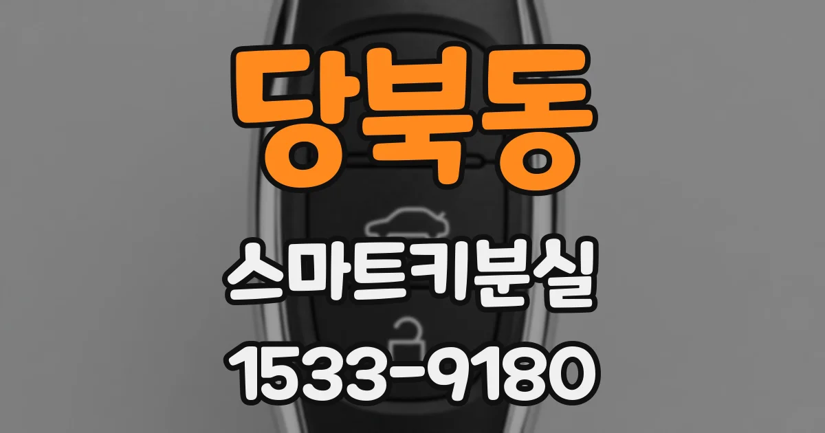 당북동 스마트키분실