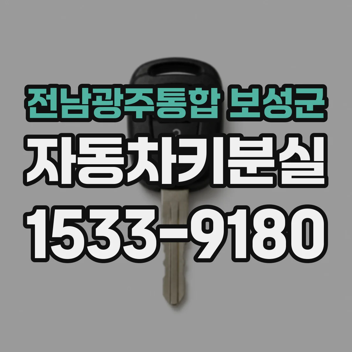 전남광주통합 보성군 자동차키분실