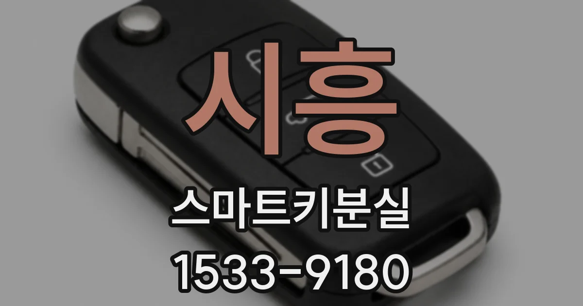 시흥 스마트키분실