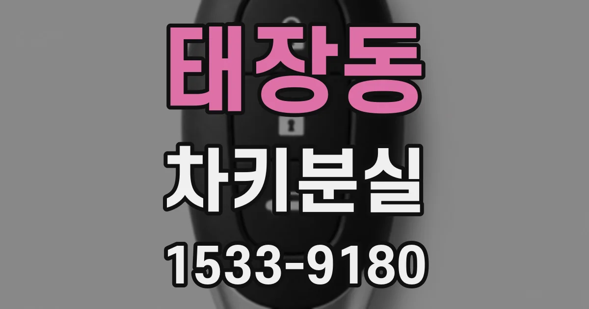 태장동 차키분실