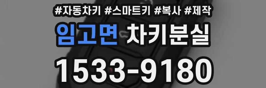 임고면 차키분실