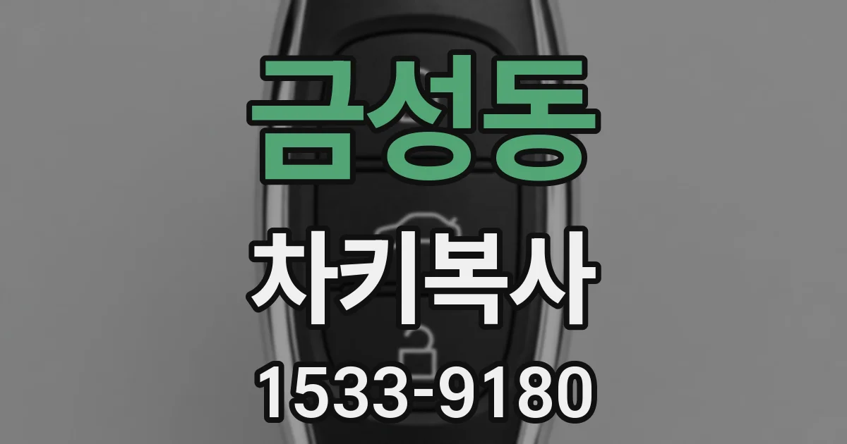 금성동 차키복사