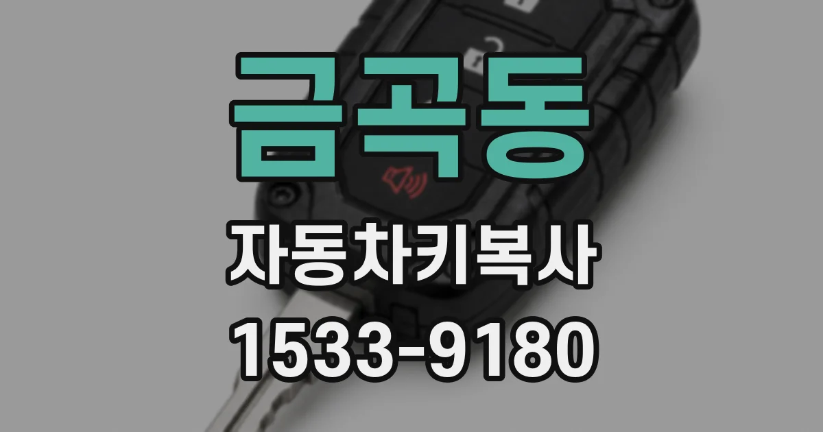 금곡동 자동차키복사
