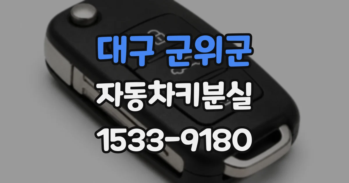 대구 군위군 자동차키분실