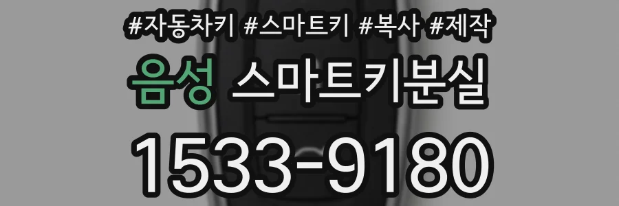 음성 스마트키분실