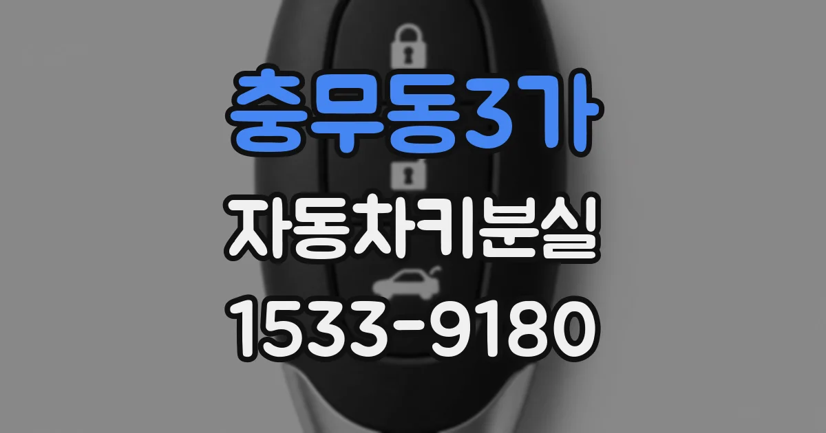충무동3가 자동차키분실