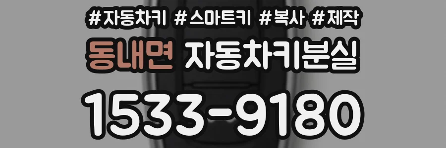동내면 자동차키분실