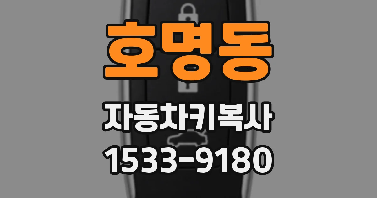 호명동 자동차키복사