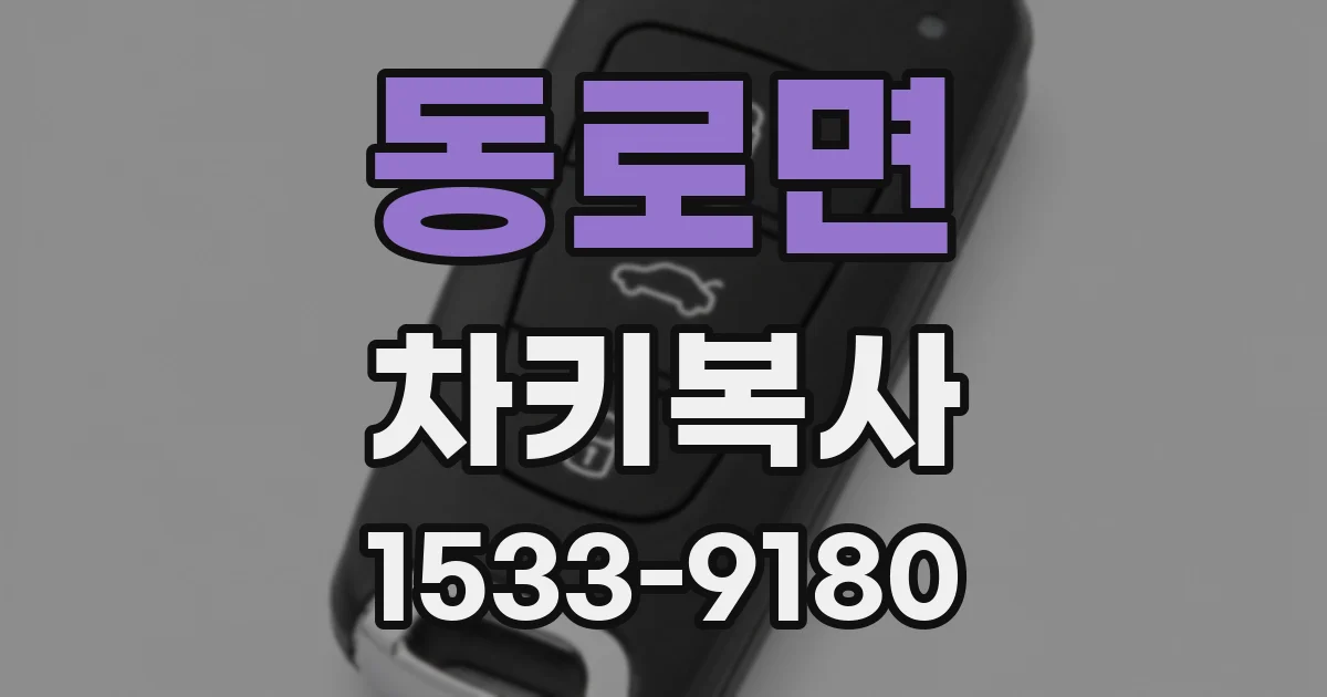동로면 차키복사