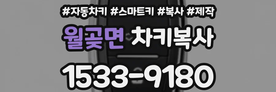 월곶면 차키복사