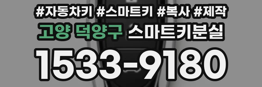 고양 덕양구 스마트키분실