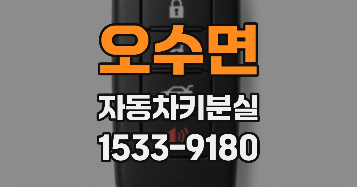 오수면 자동차키분실
