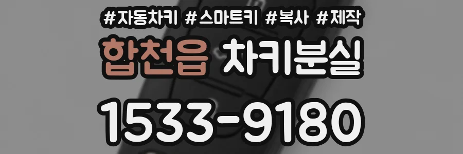 합천읍 차키분실