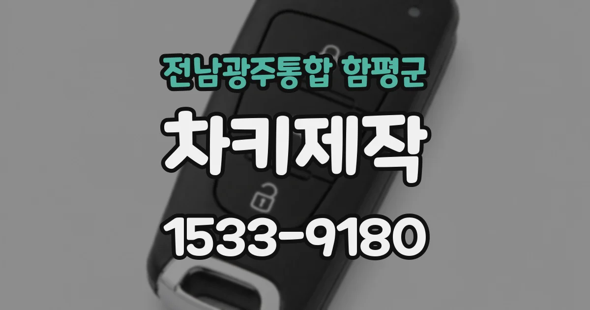 전남광주통합 함평군 차키제작
