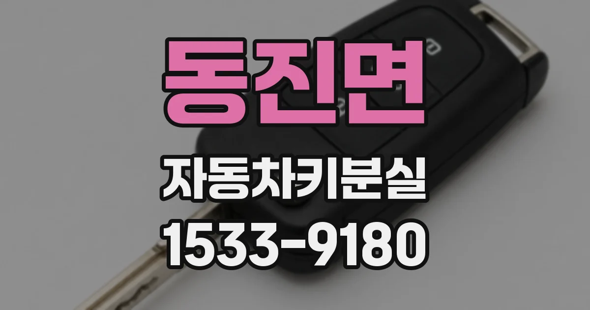 동진면 자동차키분실