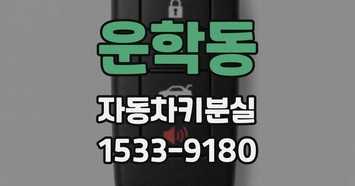 운학동 자동차키분실