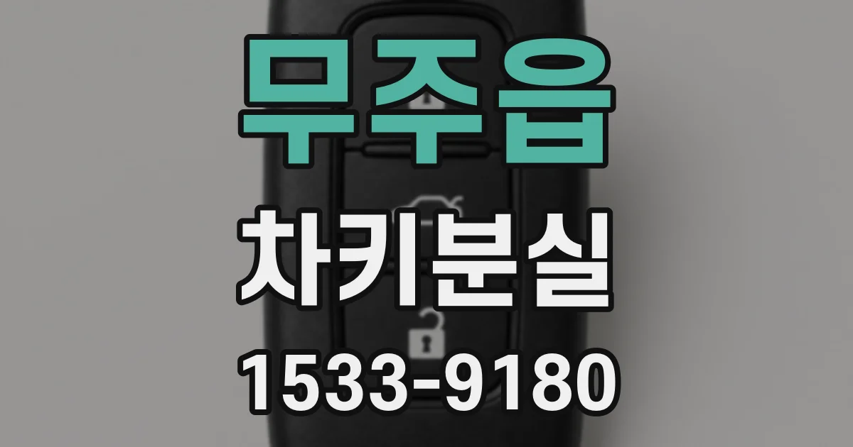 무주읍 차키분실