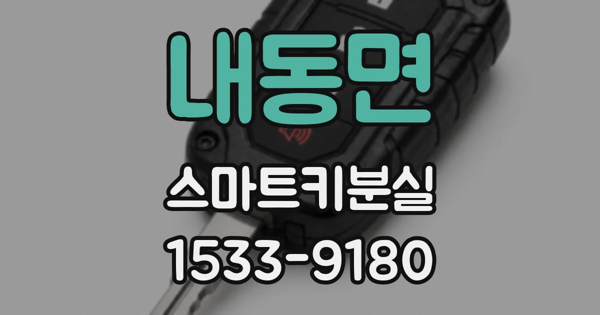내동면 스마트키분실