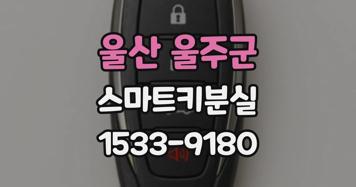 울산 울주군 스마트키분실