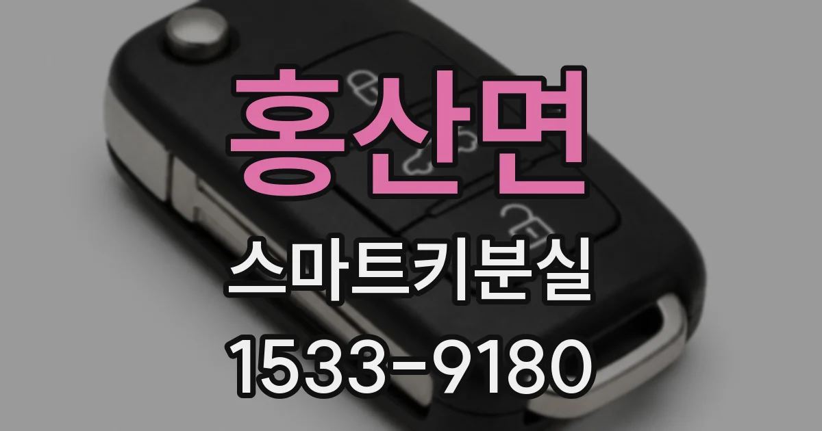 홍산면 스마트키분실