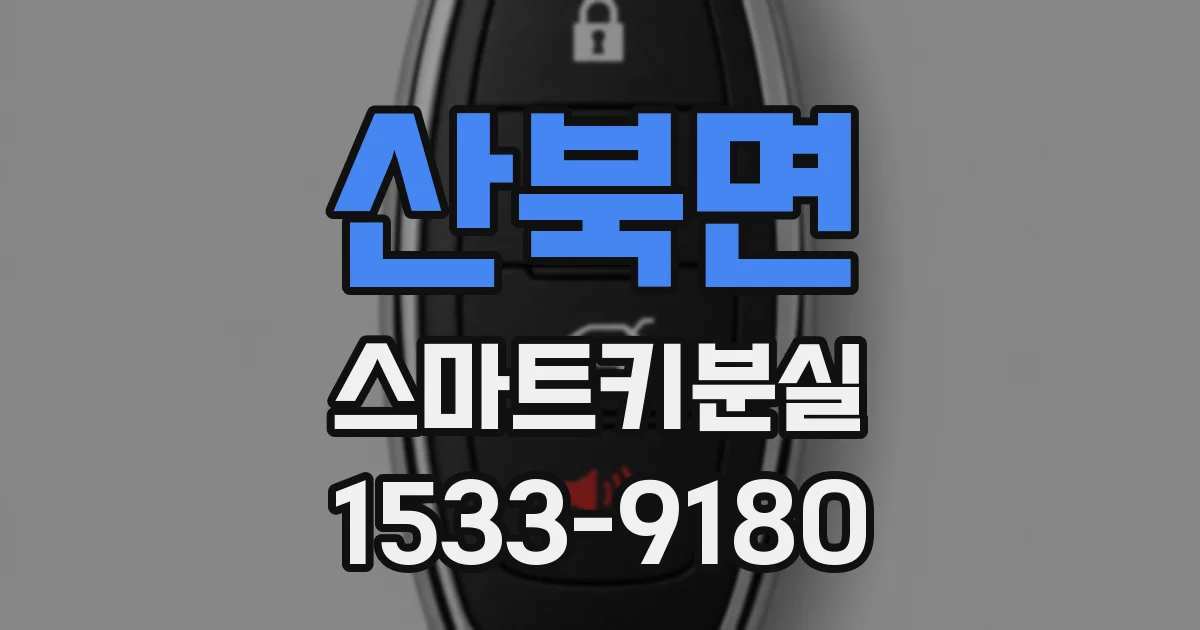 산북면 스마트키분실