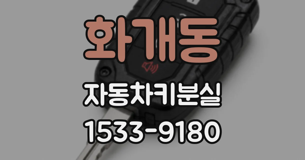 화개동 자동차키분실