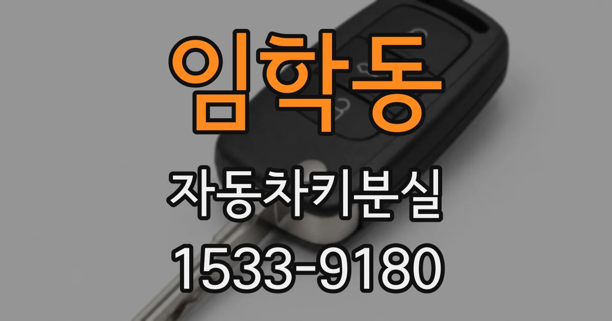 임학동 자동차키분실