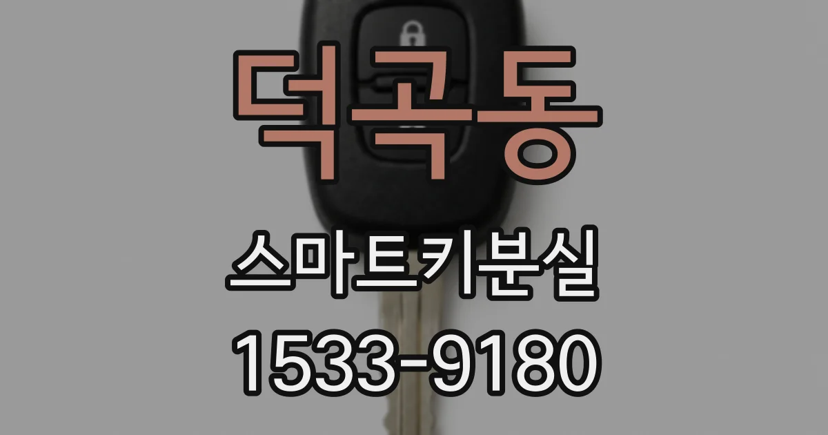 덕곡동 스마트키분실