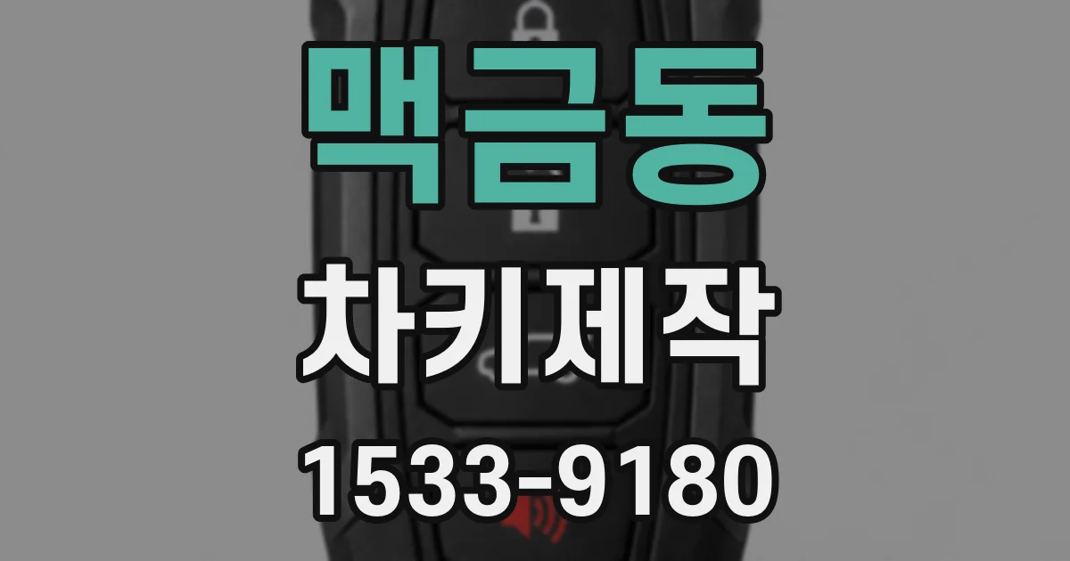 맥금동 차키제작
