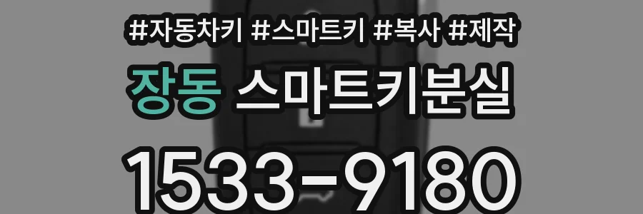 장동 스마트키분실