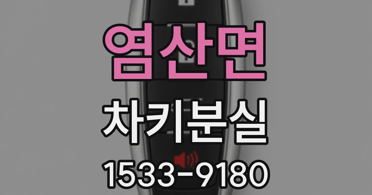 염산면 차키분실