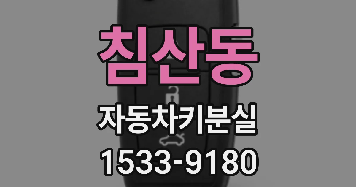 침산동 자동차키분실