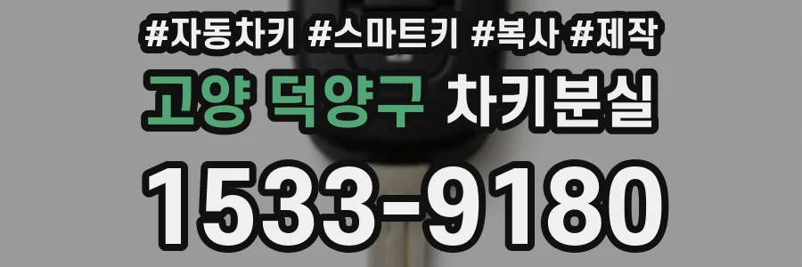 고양 덕양구 차키분실